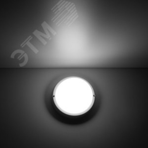 Светильник светодиодный ДБП 12 Вт 940 Лм 4000К AC 220В белый IP65 круг D140х48 мм пластик ЖКХ Elementary