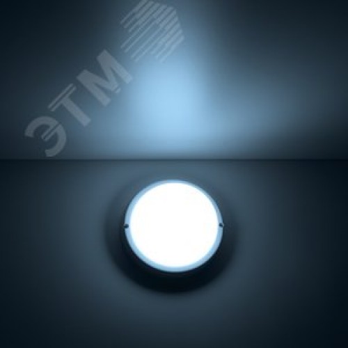 Светильник светодиодный ДБП 8 Вт 700 Лм 6500К AC 220В белый IP65 круг D140х48 мм пластик ЖКХ Elementary