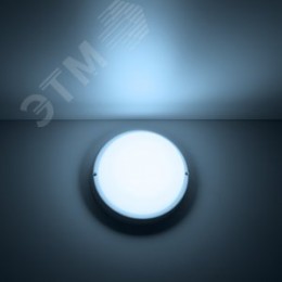 Светильник светодиодный ДБП 12 Вт 980 Лм 6500К AC 220В белый IP65 круг D140х48 мм пластик ЖКХ Elementary