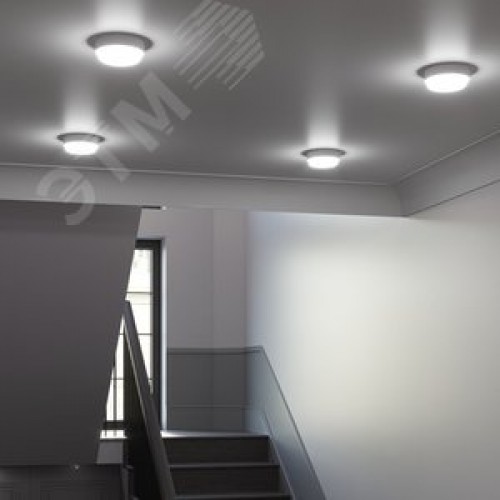 Светильник светодиодный ДБП 12 Вт 980 Лм 6500К AC 220В белый IP65 круг D140х48 мм пластик ЖКХ Elementary