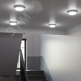 Светильник светодиодный ДБП 15 Вт 1200 Лм 6500К AC 220В белый IP65 круг D140х140 мм пластик ЖКХ Elementary