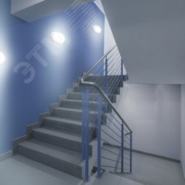 Светильник светодиодный ДБП 12 Вт 980 Лм 6500К AC 220В белый IP65 овал 160х90х46 мм пластик ЖКХ LITE