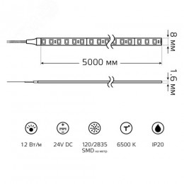 Лента светодиодная 12 Вт/м DC 24В 6500К IP20 120LED SMD2835 1400 лм/м Black Gauss