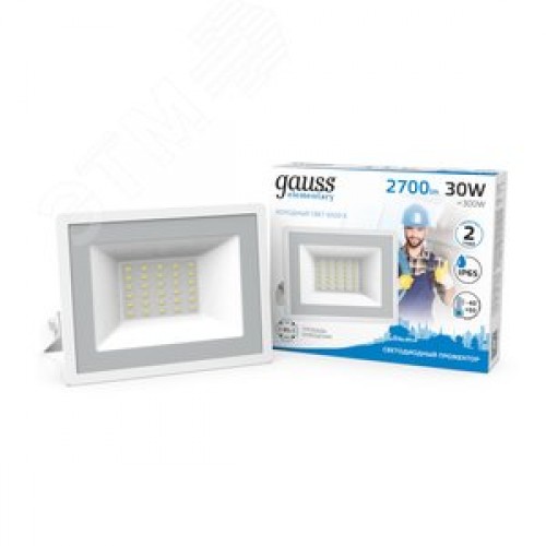 Прожектор светодиодный ДО 30 Вт 2700 Лм 6500К AC 220В IP65 126х136х126мм Elementary G2