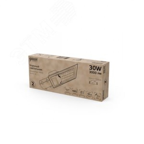 Светильник уличный консольный ДКУ 30 Вт 3000 лм 5000К AC 220В IP65 316х130х57мм широкая КСС Ш Avenue