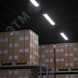 Светильник светодиодный ДПО 36 Вт 3540 лм 6500К AC 220В IP20 1185х120х46мм матовый опал WLF-4