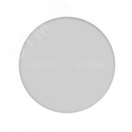 Светильник светодиодный ДВО 22 Вт 2200 лм 4000К AC 220В IP20 круг D167х29мм монт d135мм Алюминий безрамочный Elementary