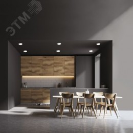 Светильник светодиодный ДВО 18 Вт 1800 Лм 4000К AC 220В IP20 круг D120х27 мм монт d106 мм Пластик безрамочный Frameless