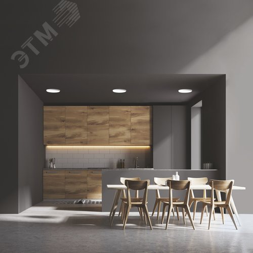 Светильник светодиодный ДВО 24 Вт 2400 Лм 4000К AC 220В IP20 круг D 170х27 мм, монтажный d 155 мм пластик безрамочный Frameless