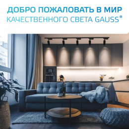 Шинопровод накладной AC 220В Черный IP20 2000х34мм с адаптером питания и заглушкой Track