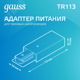 Адаптер питания для подключения трековых шинопроводов к сети AC 220В Черный IP20 Track