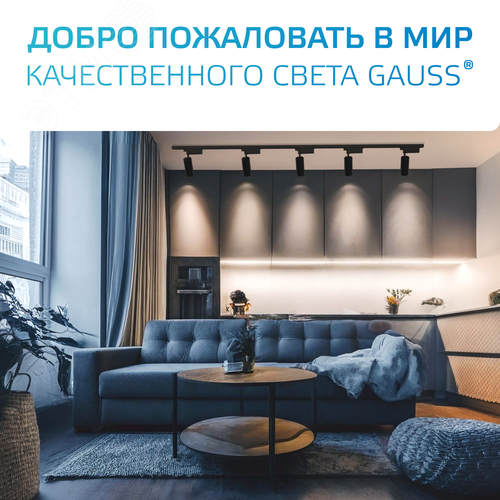 Адаптер для подключения светильника к трековой системе AC 220В Черный IP20 Track