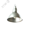 Светильник ламповый подвесной НСП17-200-001