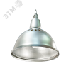 Светильник ламповый подвесной НСП17-500-001