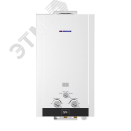 Водонагреватель газовый Edisson HEAT H 20 D 10 л/мин с электророзжигом
