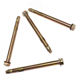 Болт анкерный 10х100