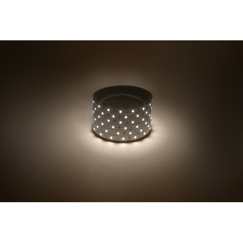 Лента светодиодная 4,8Вт/м 12В 3000К IP20 60LED/м LS2835-60LED-IP20-WW-eco-5m