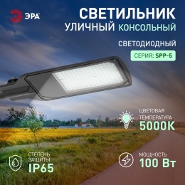 Светильник уличный светодиодный ДКУ 100Вт 5000К 10000Лм IP65 КСС Д DOB SMD 48мм SPP-504-0-50K-100