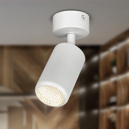 Светильник настенно-потолочный спот IP20 белый OL55 WH MR16 GU10