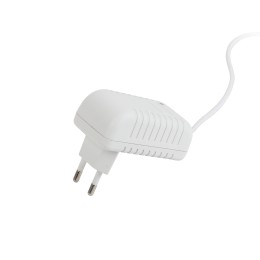Светильник настольный светодиодный белый NLED-462-10W-W