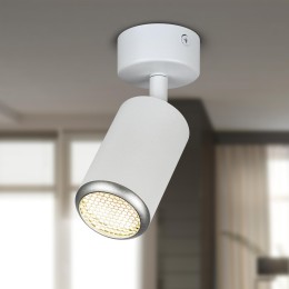 Светильник настенно-потолочный спот IP20 белый/серебро OL55 WH/SL MR16 GU10