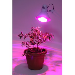 Лампа светодиодная лампа для рассады тип А60,FITO-16W-RB-E27-K 16 Вт, 220-240V