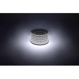 Лента светодиодная 14,4Вт/м 12В 6500К IP20 180LED/м LS2835-14,4-180-12-6500K-IP20-1 year-5m