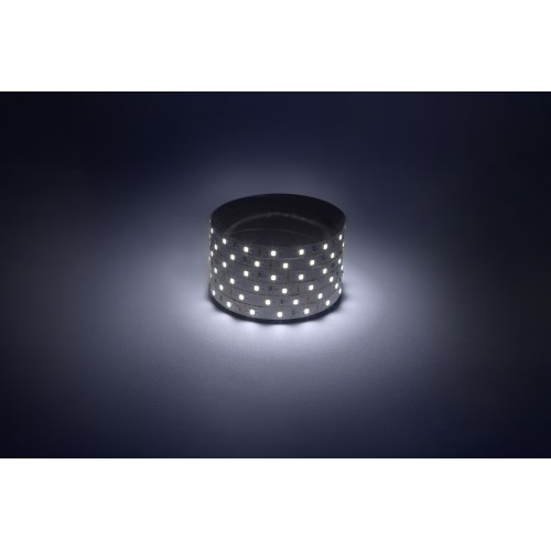 Лента светодиодная 4,8Вт/м 12В 6500К IP20 60LED/м LS2835-60LED-IP20-W-eco-5м