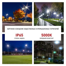 Светильник уличный светодиодный ДКУ 100Вт 5000К 10000Лм КСС Ш 48мм SPP-503-0-50K-100