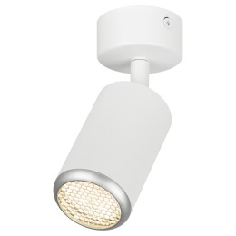 Светильник настенно-потолочный спот IP20 белый/серебро OL55 WH/SL MR16 GU10