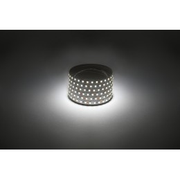 Лента светодиодная 9,6Вт/м 12В 4000К IP20 120LED/м 2835-120-4000K-12-9,6-8-IP20-1 year