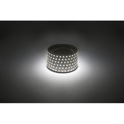 Лента светодиодная 9,6Вт/м 12В 4000К IP20 120LED/м 2835-120-4000K-12-9,6-8-IP20-1 year