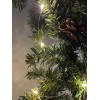 Гирлянда LED Нить 5 м теплый свет, АА ENIN -5NW
