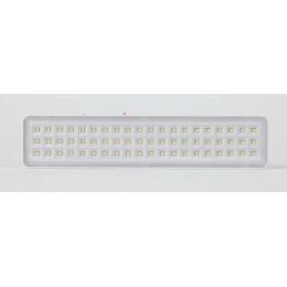 Светильник светодиодный аварийный непостоянный DBA-103-0-20 60LED 5ч IP20 40/1600