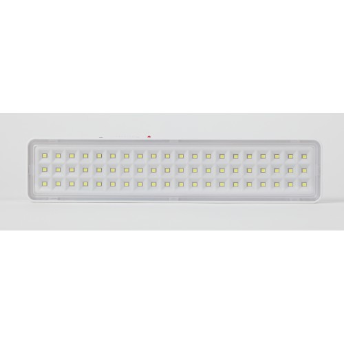 Светильник светодиодный аварийный непостоянный DBA-103-0-20 60LED 5ч IP20 40/1600