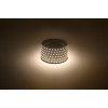 Лента светодиодная 9,6Вт/м 12В 3000К IP20 120LED/м LS2835-120LED-IP20-WW-eco-5м