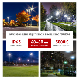 Светильник светодиодный уличный консольный ДКУ 60 Вт 5000К 9000Лм IP65 КСС Ш 85-265В IC-COB 48-60мм 5 лет SPP-5-60-5K-W