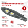Светильник светодиодный уличный консольный ДКУ 80 Вт 5000К 12000Лм IP65 КСС Ш IC-COB 48-60мм SPP-5-80-5K-W