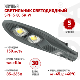 Светильник светодиодный уличный консольный ДКУ 80 Вт 5000К 12000Лм IP65 КСС Ш IC-COB 48-60мм SPP-5-80-5K-W