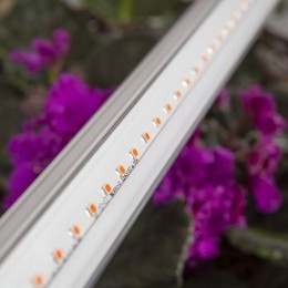 Светильник линейный красно-синего спектра FITO-14W-Т5-N 30/840