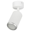 Светильник настенно-потолочный спот IP20 белый/серебро OL55 WH/SL MR16 GU10