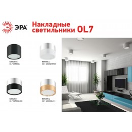 Подсветка светодиодная накладная под GX53 OL7 GX53 GD/CH алюминий цвет золото+хром