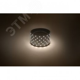 Лента светодиодная 4,8Вт/м 12В 3000К IP20 60LED/м LS2835-60LED-IP20-WW-eco-5m