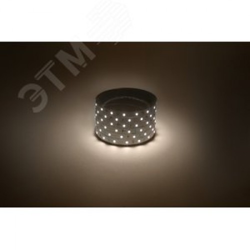 Лента светодиодная 4,8Вт/м 12В 3000К IP20 60LED/м LS2835-60LED-IP20-WW-eco-5m