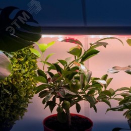 Светильник линейный полного спектра FITO-18W-T5-Ra90