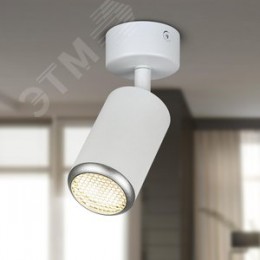 Светильник настенно-потолочный спот IP20 белый/серебро OL55 WH/SL MR16 GU10