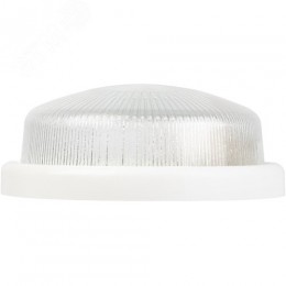 Светильник НБО 05-100-001 с ободком Рондо пластик/стекло IP44 E27 max 100 Вт круг белый