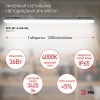 Светильник светодиодный линейный IP65 36Вт 3420Лм 4000К 1200мм мат SPP-201-0-40K-036