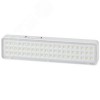 Светильник светодиодный аварийный непостоянный DBA-103-0-20 60LED 5ч IP20 40/1600