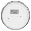 Светильник потолочный светодиодный Relict 22 SPB-6-20 4К WH 20W 4000K Белый